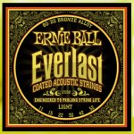 Ernie Ball Everlast