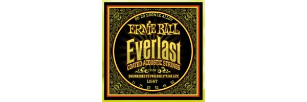 Ernie Ball Everlast