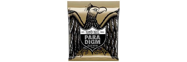 Ernie Ball Paradigm 80/20 Bronze