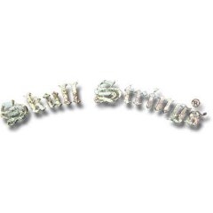 Skull Strings