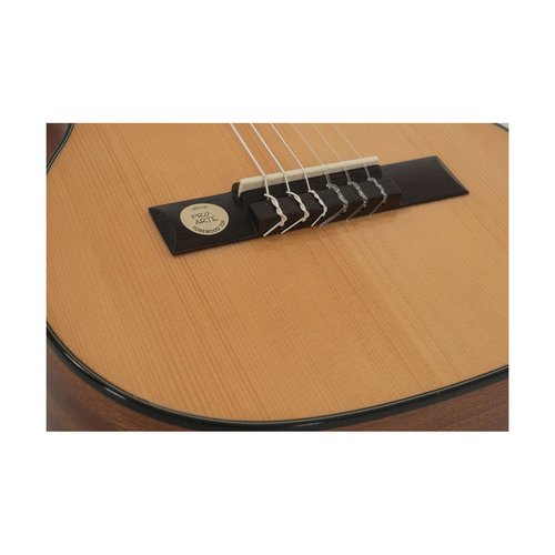 GEWA Pro Arte GC 25 A classical guitar