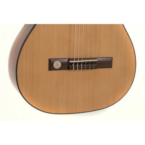 GEWA Pro Arte GC 100 A classical guitar