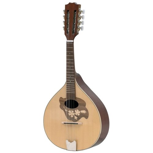 GEWA Pro Arte Flat mandolin Model 2