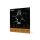 DAddario KA310 1/2M Kaplan Amo Violin Corde Singole, Scala 1/2, Tensione Media