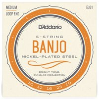 Cordes DAddario EJ61 Banjo Nickel 010/023