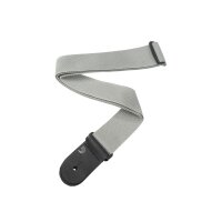 DAddario PWS105 Silver