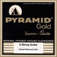 Pyramid Flatwound corde au détail .042w