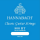 Hannabach single string 8004 HT - D4
