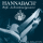 Hannabach Guitare Schrammel corde au détail B12