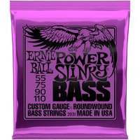 Ernie Ball EB2831 Power Slinky Bass Strings 55-110