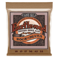 Ernie Ball EB2151 Earthwood Phosphor Bronze 010/052