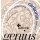 Galli GR-90 Genius Carbonio Hard Tension
