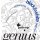 Galli GR-20 Genius Black Nylon Hard Tension