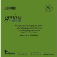 Galli GR-100 Genius Flamenco Hard Tension