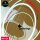Galli AB45125 ProCoated Phosphor Bronze Acoustic Bass Medium 5-Corde