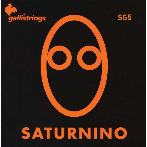 Galli GSG-5N Saturn Nickel 5-String