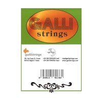 Galli S-20 Saz Light