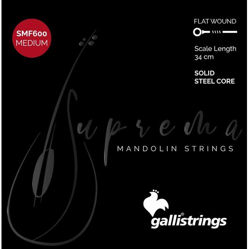 Galli SMF-600 Suprema Mandolin Medium