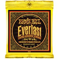 Ernie Ball EB2556 Everlast Bronze Medium Light