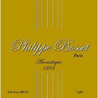 Philippe Bosset 80/20 Bronze Light 012/053 for acoustic...