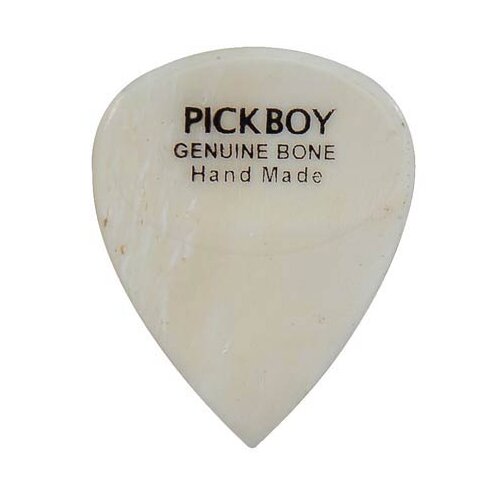 Pickboy Exotic Bone Plectrum
