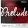 DAddario J810 1/8M Prelude Violinen-Saitensatz Medium Tension