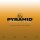 Pyramid Bass acoustique 80/20 Brass Alloy Short Scale 040/096