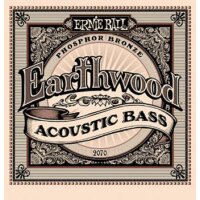 Cordes à lunité Ernie Ball Earthwood Basse...